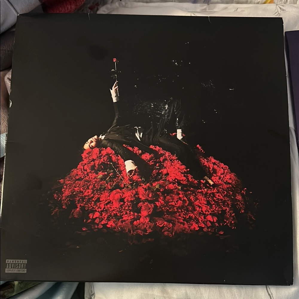 Conan Gray Superache Vinyl